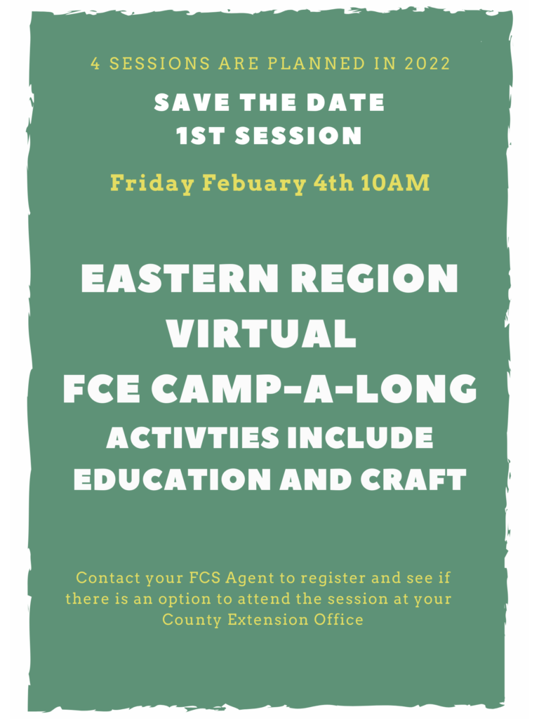 Flyer for Feb. 4th Virtual Event