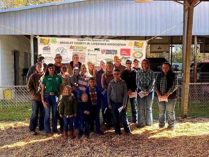 Bradley County Jr Livestock | Bradley County